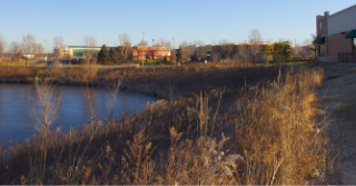 picture of a retention pond that is close to a commercial area and a residential area